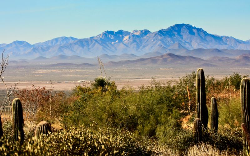 Arizona-Sonora Desert View from Museum