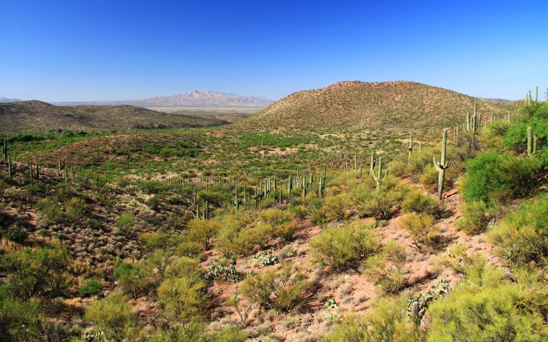 Colossal Cave Mountain Park