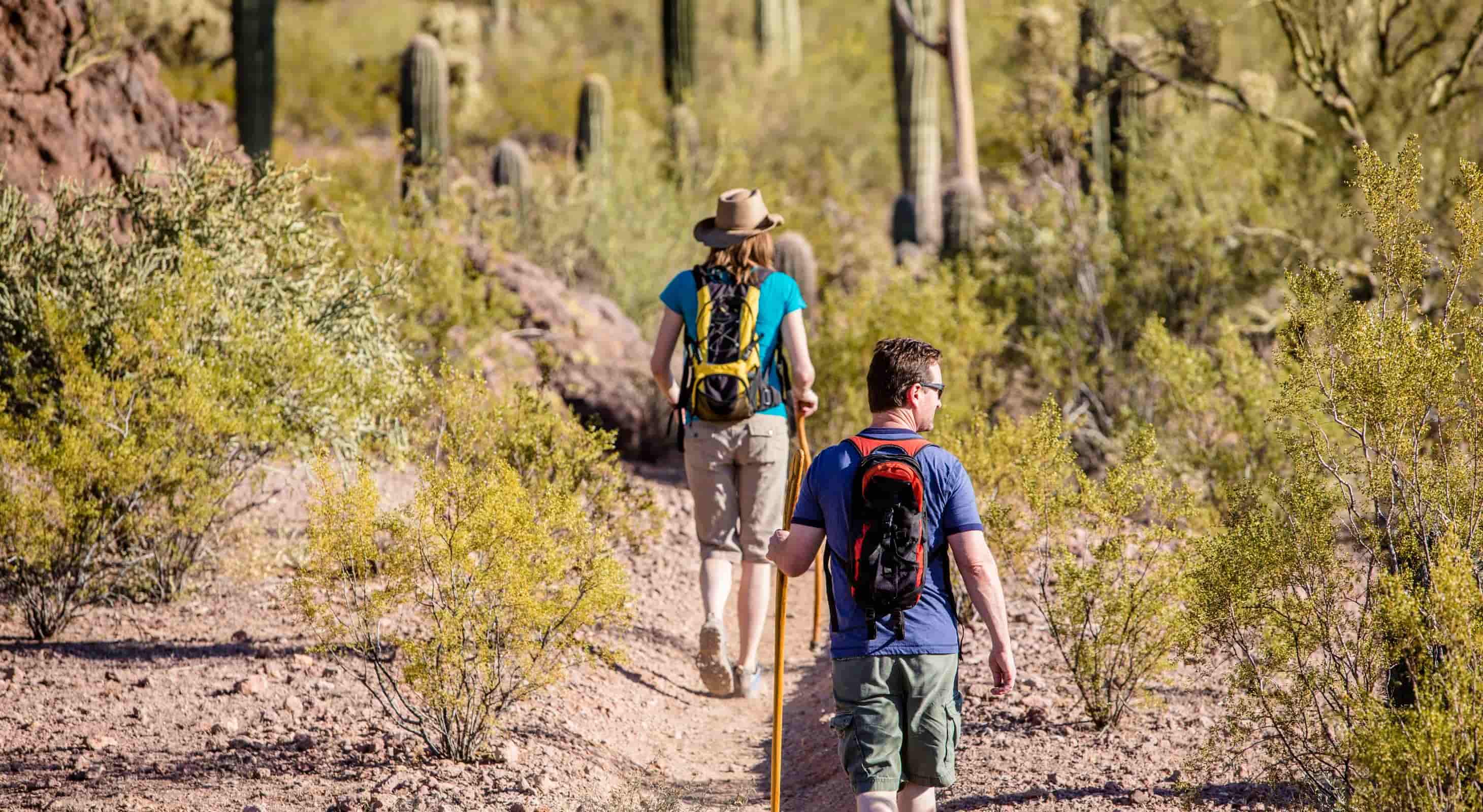 Desert Hikers in Arizona